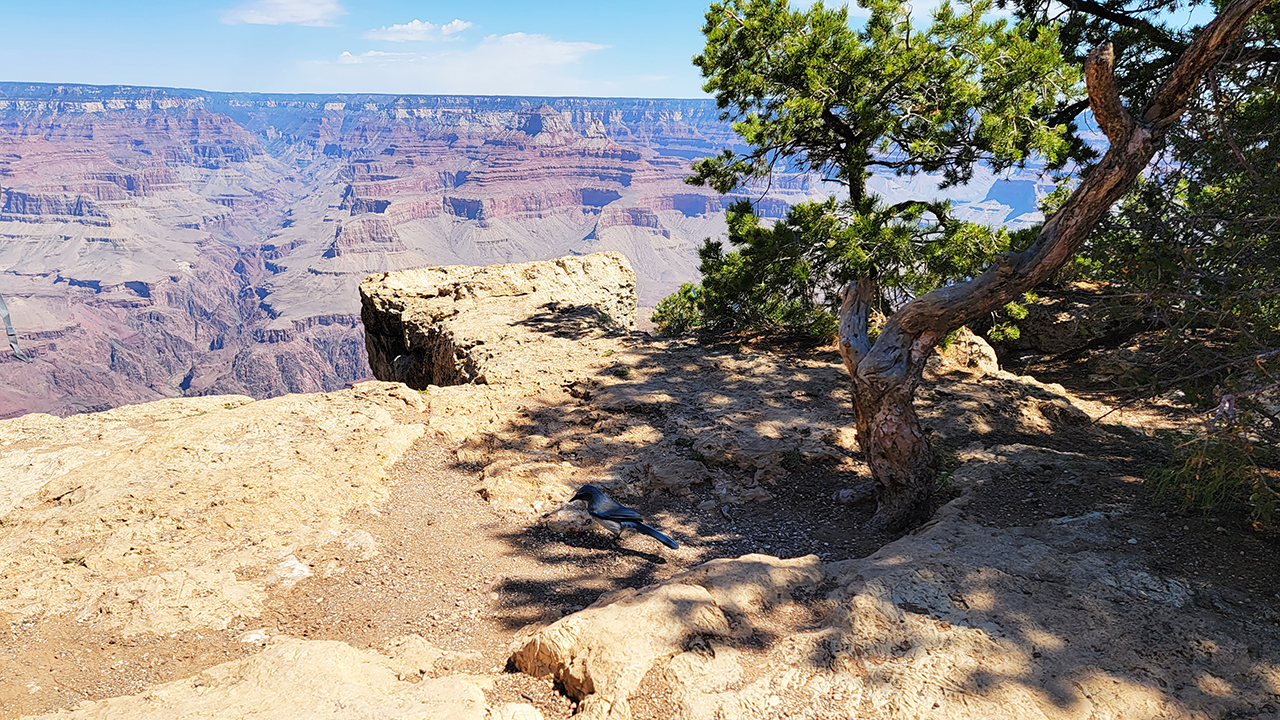 Gallery collage photo